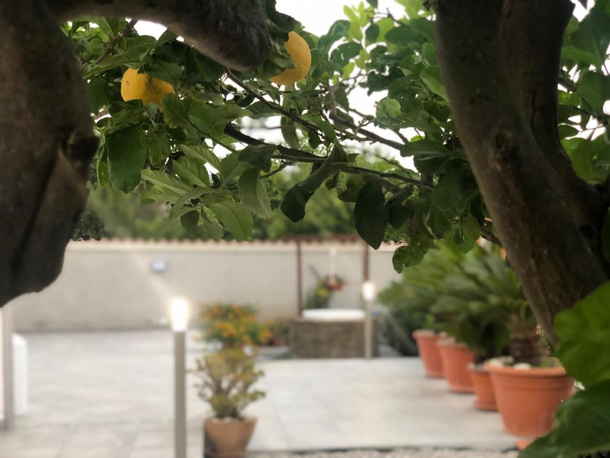 سانتا ماريا دي كاستيلاباتي Invilla Bed&Breakfast - Quality Rooms المظهر الخارجي الصورة